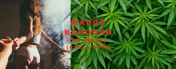 крисы Бородино