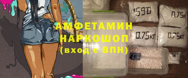 крисы Бородино