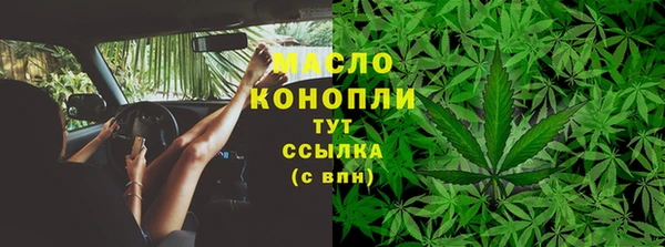крисы Бородино