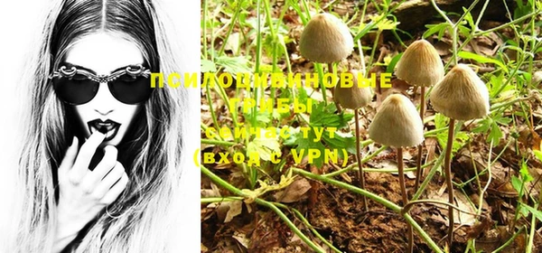 PSILOCYBIN Бронницы