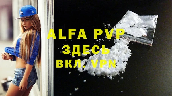крисы Бородино