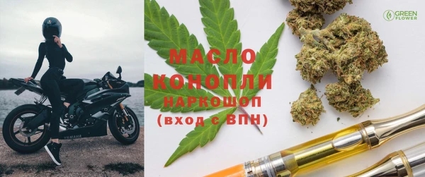крисы Бородино
