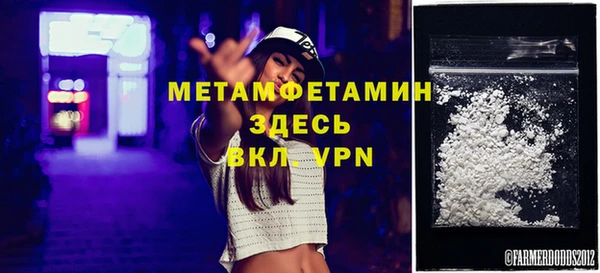крисы Бородино