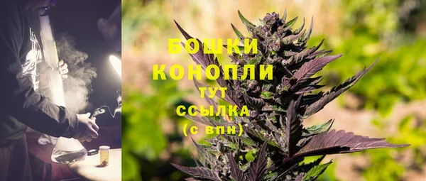 PSILOCYBIN Бронницы