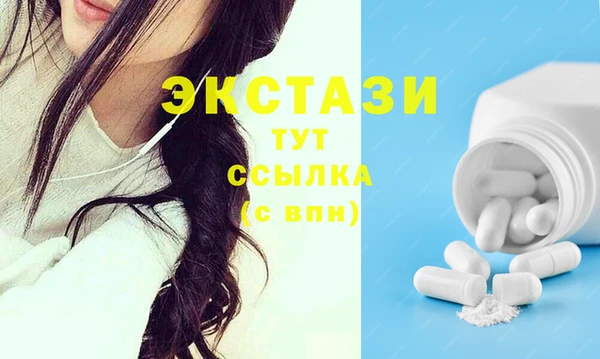 крисы Бородино
