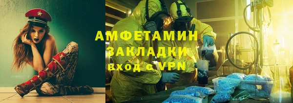 крисы Бородино