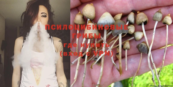 PSILOCYBIN Бронницы