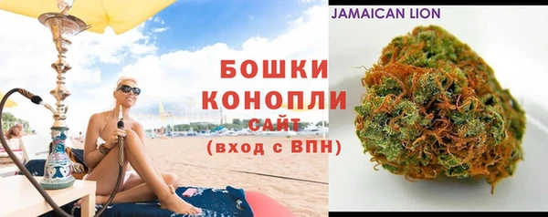 крисы Бородино